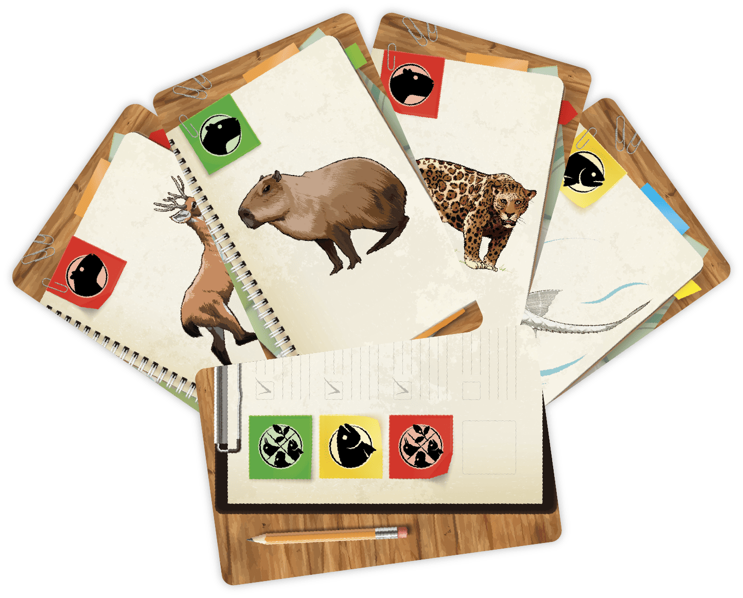 Cartas Expedición Serrana